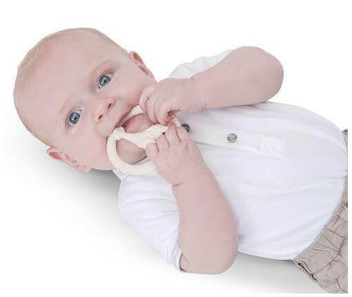 Circle Teether | Earthlets.com